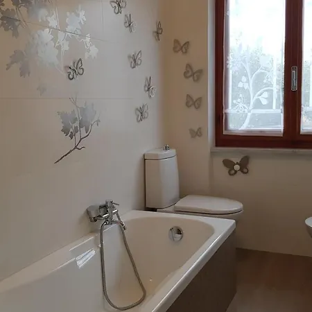 Tra Gli Ulivi