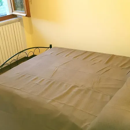 Tra Gli Ulivi Carrara