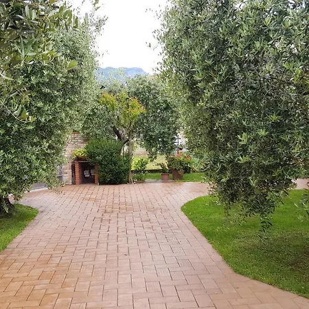 Tra Gli Ulivi Apartment